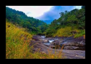Riverside Retreats Un ghid pentru liniște 4 Retrageri pe malul râului: scene idilice de-a lungul malurilor râului
