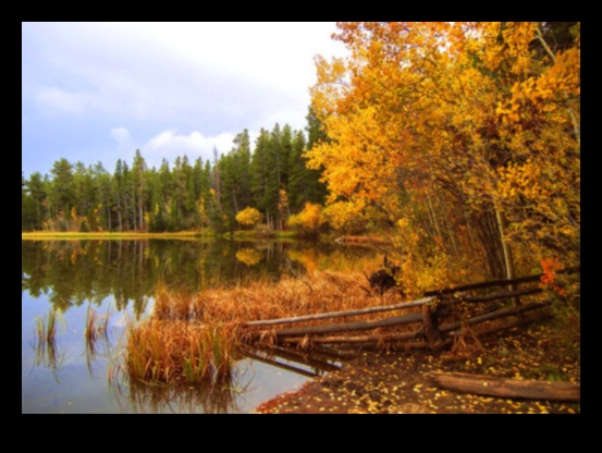 Nostalgia pentru peisaj 4 De ce anumite peisaje trezesc un sentiment de nostalgie?