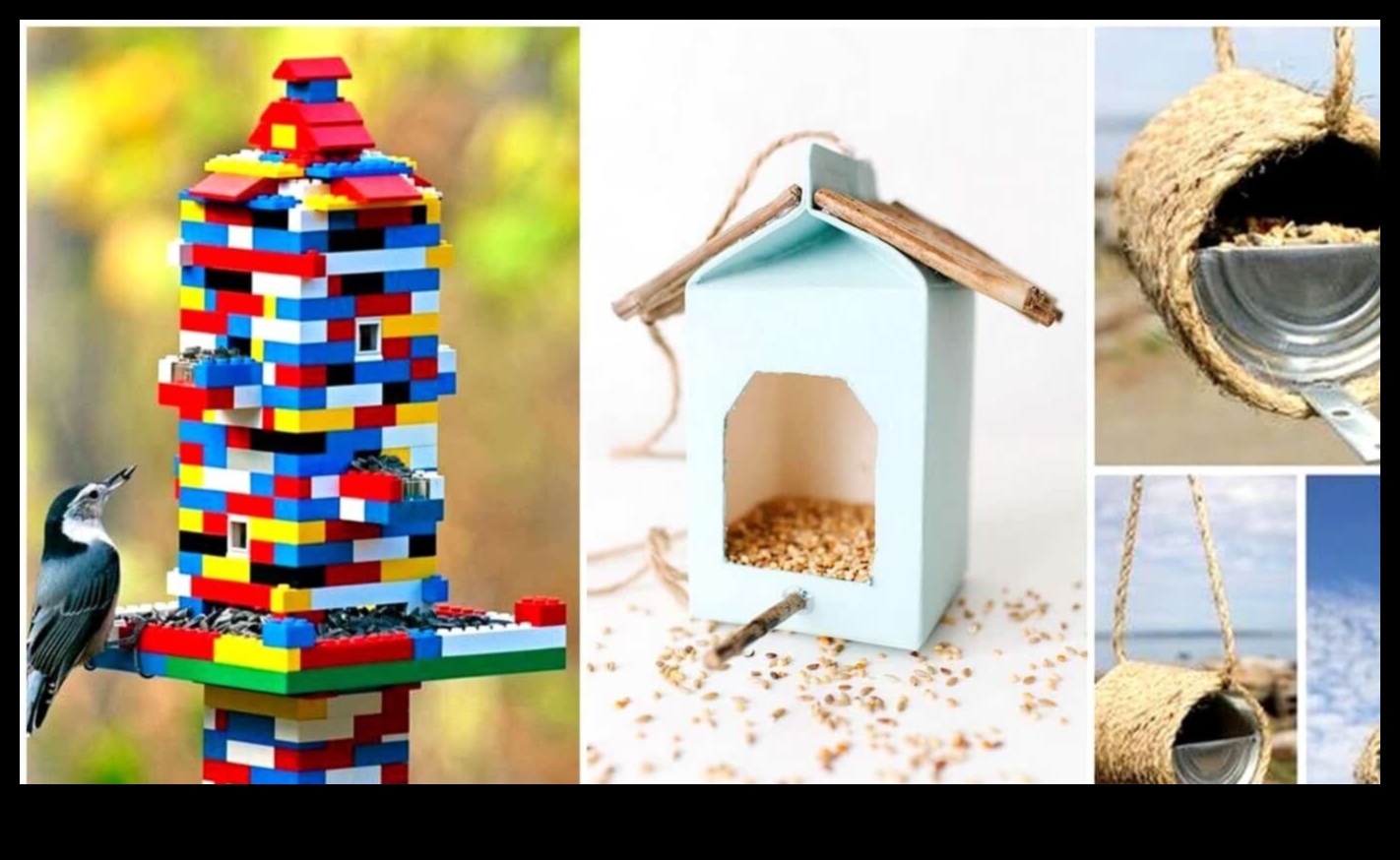 Observarea păsărilor DIY: crearea de hrănitori de casă și atragerea păsărilor locale