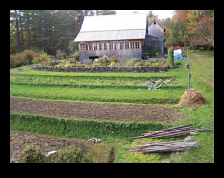 Peisaje terasate O moștenire vie 5 De ce sunt importante terasele agricole pentru gestionarea peisajelor deluroase?