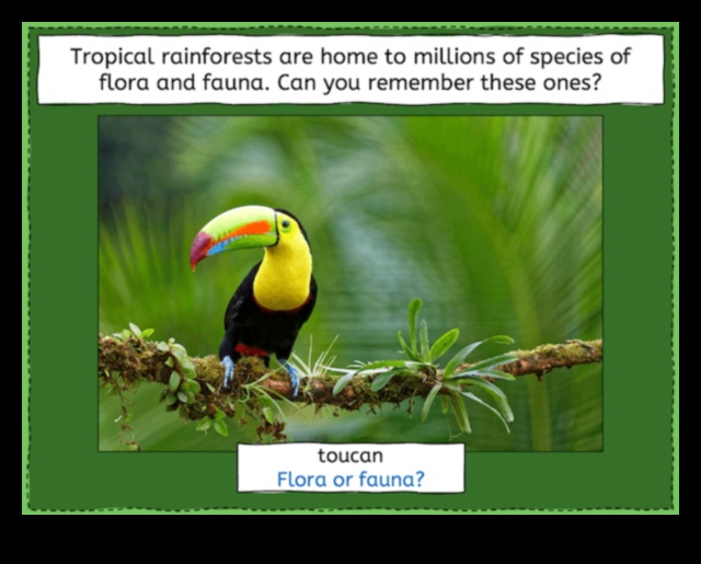 Pădurile tropicale, o casă pentru milioane de specii 4 De ce pădurile tropicale sunt considerate unul dintre cele mai diverse peisaje?