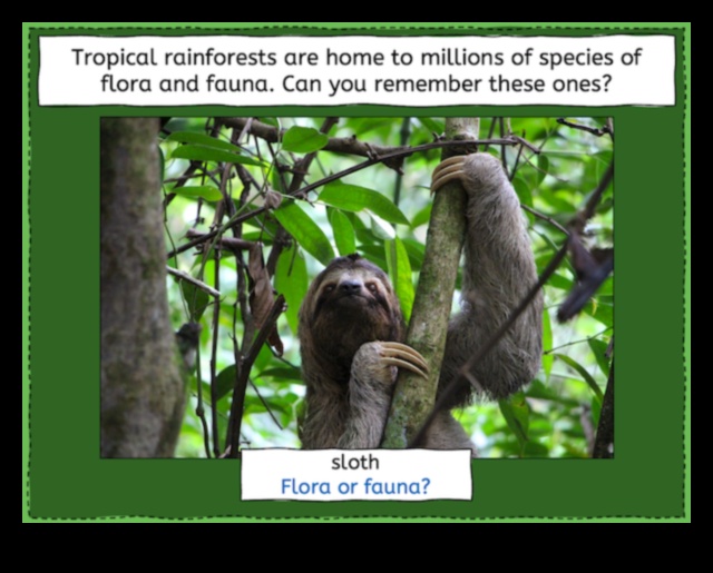 Pădurile tropicale, o casă pentru milioane de specii 5 De ce pădurile tropicale sunt considerate unul dintre cele mai diverse peisaje?