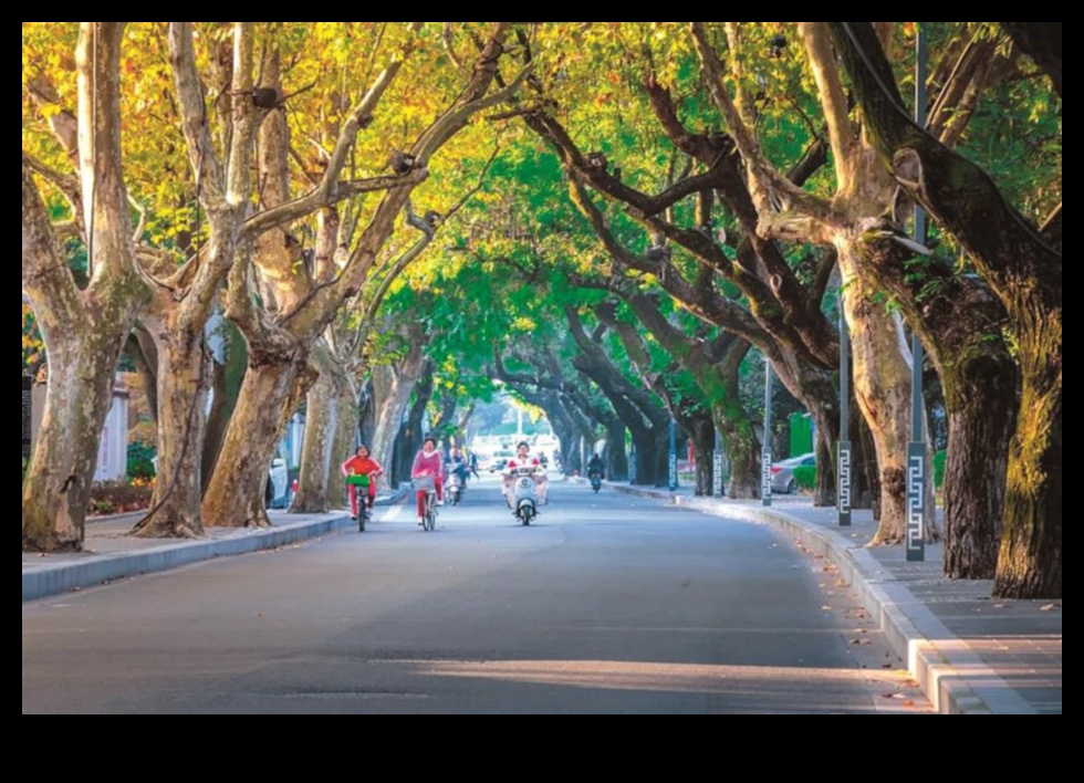 Grădina de Aur O etapă strălucitoare a splendorii toamnei 2 Grădina de aur: înflorește în aur strălucitor