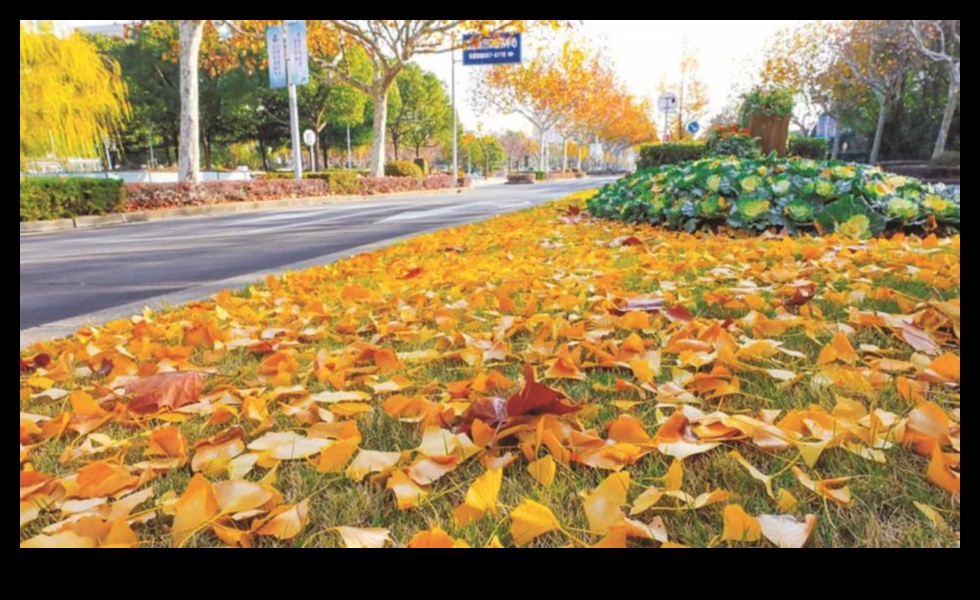 Grădina de Aur O etapă strălucitoare a splendorii toamnei 5 Grădina de aur: înflorește în aur strălucitor