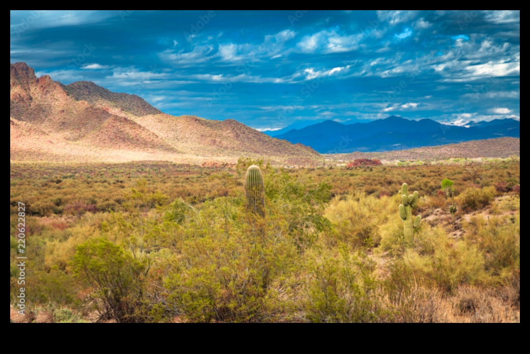 Multe fețe ale peisajului 3 O lume în cadre: peisaje diverse și frumoase