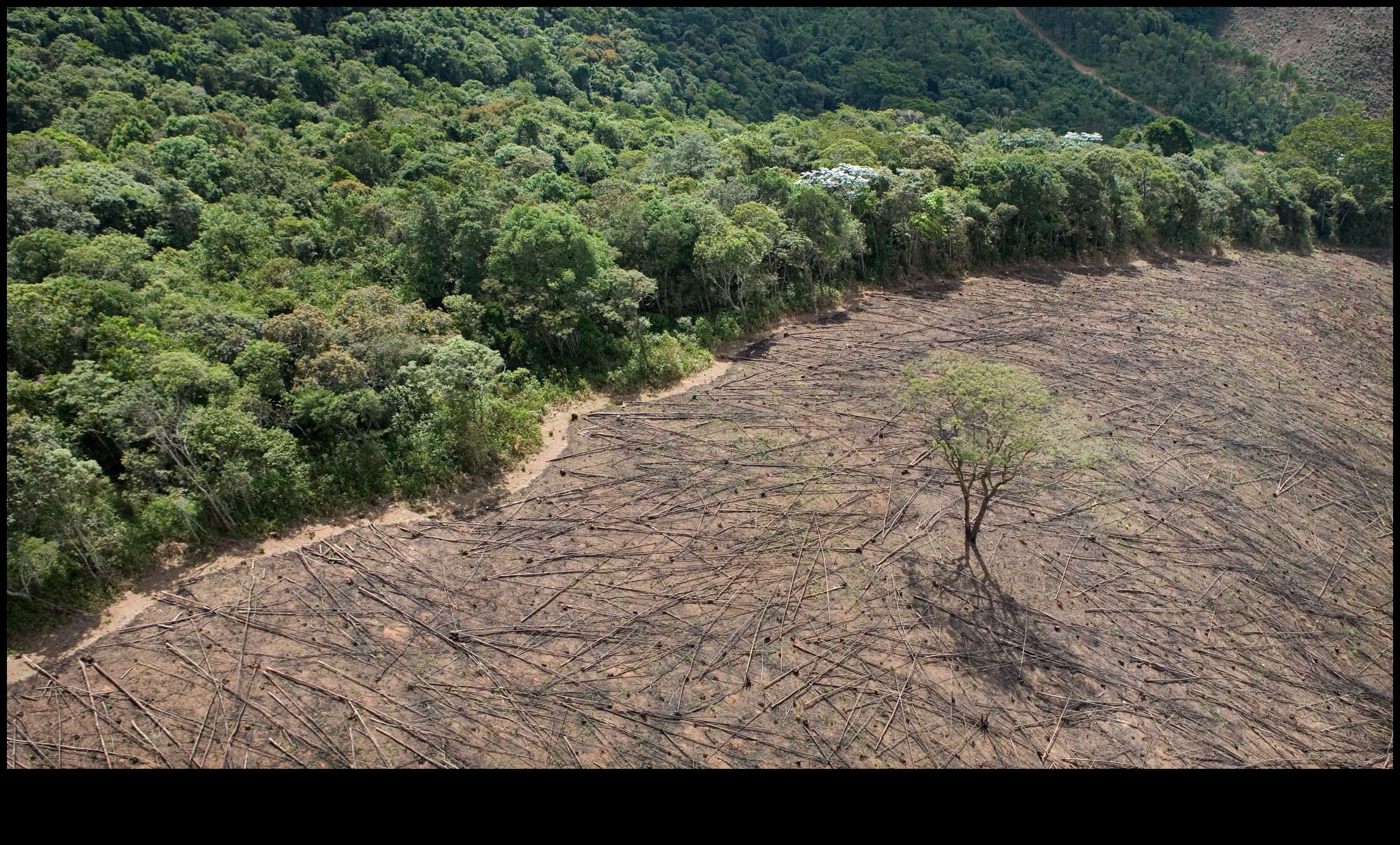 Rezervațiile ecologice salvează planeta, câte un ecosistem 2 Refugiul Naturii II: Explorări suplimentare ale rezervațiilor ecologice