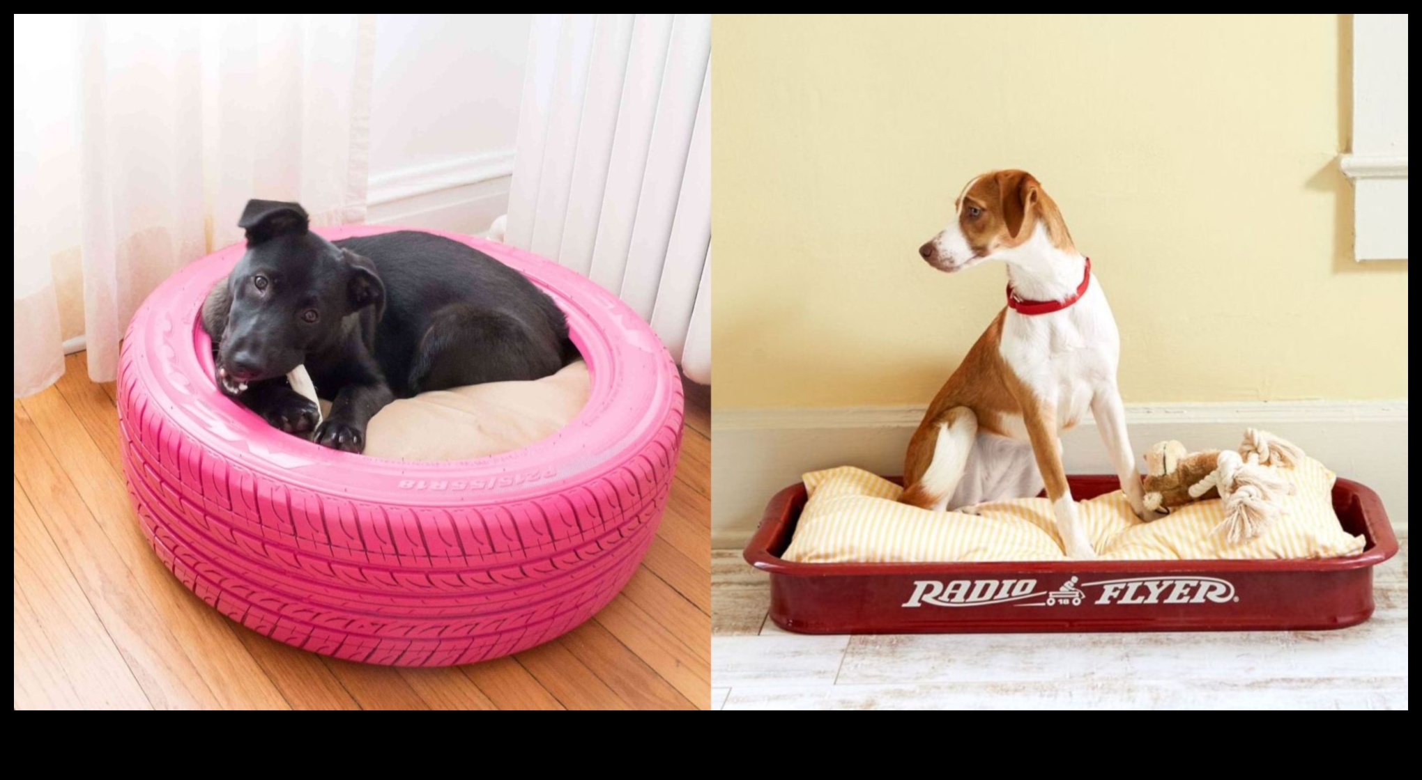 Paturi pentru câini DIY creând spații confortabile de dormit pentru câinele dvs. 3 Paturi pentru câini DIY: Creați spații confortabile de dormit pentru câinele dvs