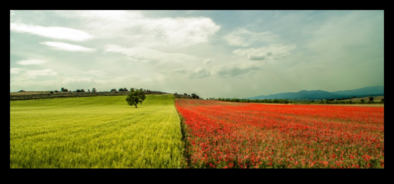 Peisajul în schimbare 2 Viziuni de grandoare: o călătorie panoramică prin peisaje
