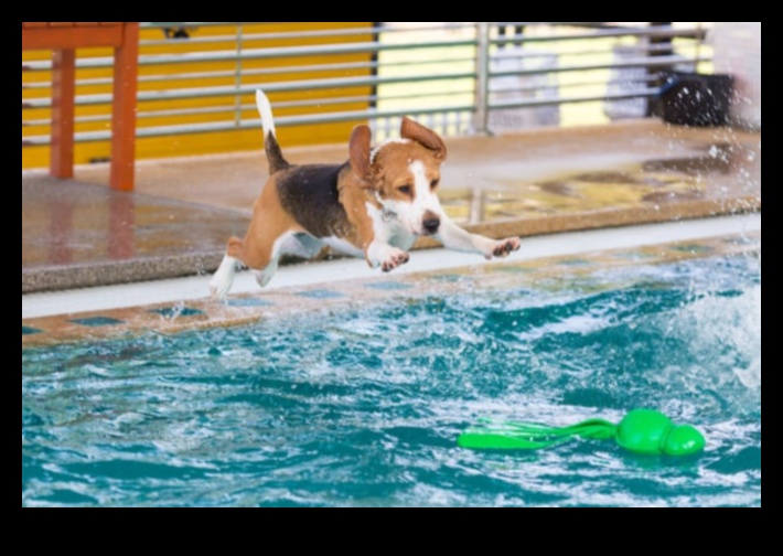 Puppy Pool Paw-ty Water Games for Cooling Off 5 Puppy Pool Paw-ty: Jocuri cu apă pentru răcorire