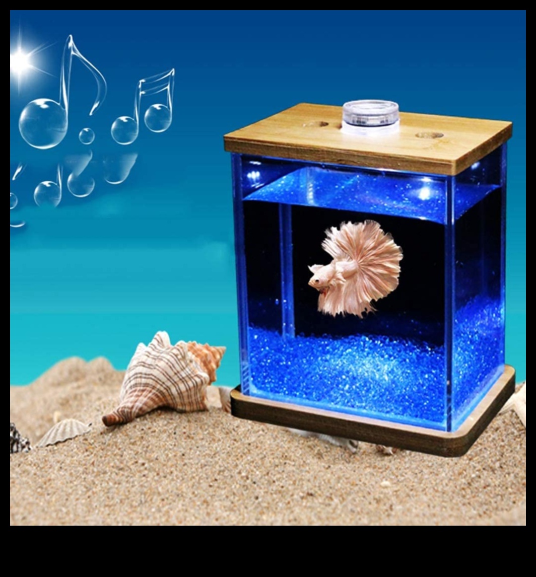 Fish Tank Finery a continuat Finisajele unui acvariu la modă 2 Finisajul pentru rezervoarele de pește Continuare: Adăugarea de finisaje pentru un acvariu la modă