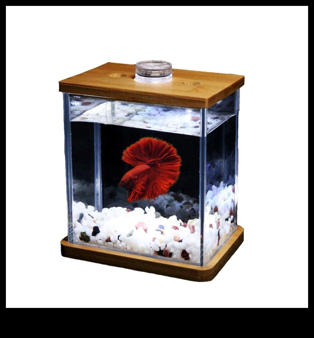 Fish Tank Finery a continuat Finisajele unui acvariu la modă 5 Finisajul pentru rezervoarele de pește Continuare: Adăugarea de finisaje pentru un acvariu la modă