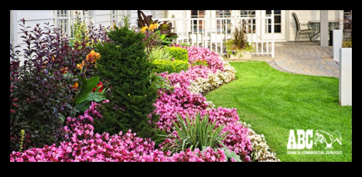 Apără, descurajează, înfrânge 3 pași către o grădină fără dăunători 3 Apără, descurajează, înfrânge: strategii pentru o grădină fără dăunători