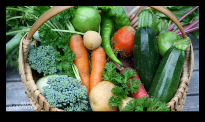 Apără, descurajează, înfrânge 3 pași către o grădină fără dăunători 2 Apără, descurajează, înfrânge: strategii pentru o grădină fără dăunători