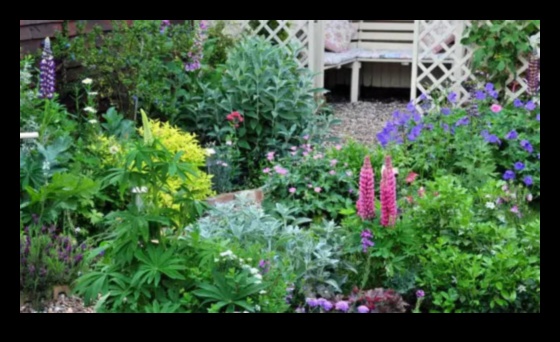 Farmecul în fiecare floare 5 moduri de a-ți ridica grădina cu atingeri artistice 3 Farmecul în fiecare floare: ridică-ți grădina cu atingeri artistice