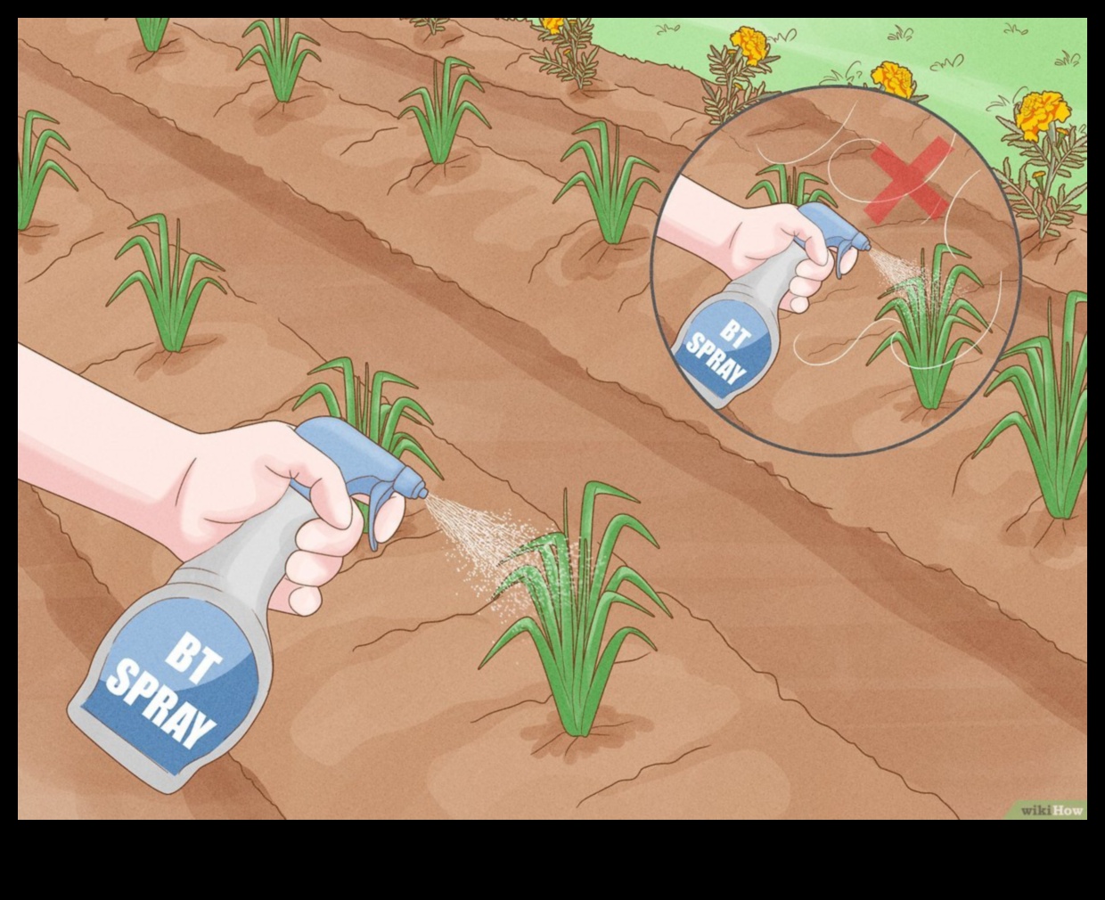 Apără, descurajează, înfrânge 3 pași către o grădină fără dăunători 1 Apără, descurajează, înfrânge: strategii pentru o grădină fără dăunători