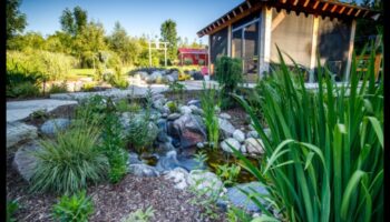 Cum se schimbă stilurile arhitecturale ca răspuns la diferite peisaje?