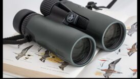 Bazele binoculare Alegerea opticii potrivite despre observarea păsărilor 5 Noțiuni de bază binoculare: alegerea opticii potrivite pentru observarea păsărilor