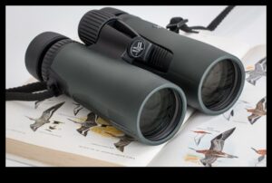 Noțiuni de bază binoculare: alegerea opticii potrivite pentru observarea păsărilor