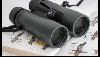 Noțiuni de bază binoculare: alegerea opticii potrivite pentru observarea păsărilor