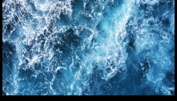 Deep Blue Mysteries: Fenomene ciudate în adâncurile oceanului