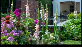 Farmecul în fiecare floare: ridică-ți grădina cu atingeri artistice