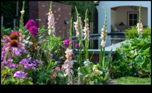 Farmecul în fiecare floare: ridică-ți grădina cu atingeri artistice