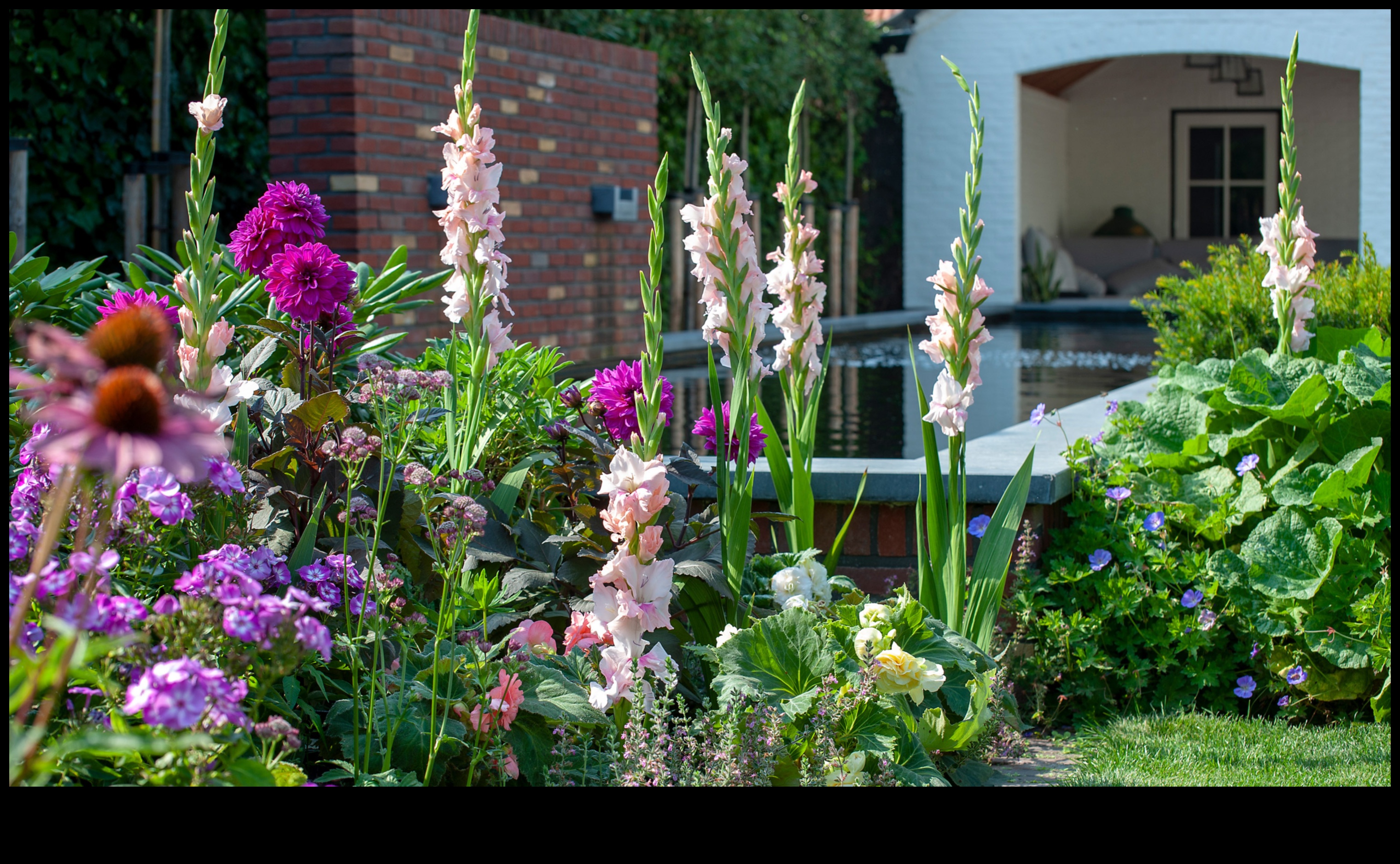 Farmecul în fiecare floare 5 moduri de a-ți ridica grădina cu atingeri artistice 1 Farmecul în fiecare floare: ridică-ți grădina cu atingeri artistice