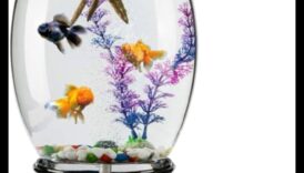 Fish Tank Finery a continuat finisarea unui acvariu la modă 4 Finisajul pentru rezervoarele de pește Continuare: Adăugarea de finisaje pentru un acvariu la modă