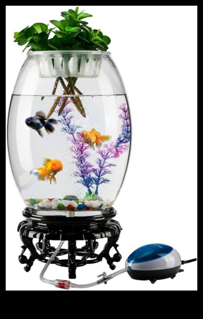 Fish Tank Finery a continuat Aspectele finale ale unui acvariu la modă 1 Finisajul pentru rezervoarele de pește Continuare: Adăugarea de finisaje pentru un acvariu la modă