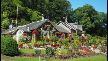 Garden Harmony: Echilibrarea frumuseții și eficienței în întreținere