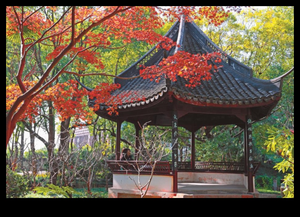 Grădina de Aur O etapă strălucitoare a splendorii toamnei 1 Grădina de aur: înflorește în aur strălucitor