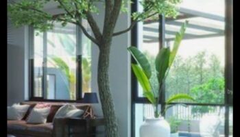 Green Living Inside: inspirații pentru grădinărit de interior