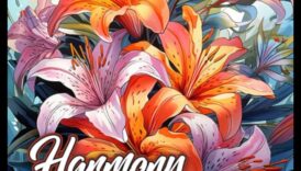 Harmony in Blooms Un indrumator inspre stăpânirea artei amenajarii grădinii 6 Armonie în flori: stăpânirea artei designului grădinii