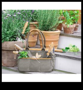 Garden Glee: instrumente esențiale pentru înflorire și frumusețe