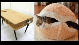 Mobila intre pisici de bricolaj Reluare Modele elegante și creative intre piedici dvs 3 Mobilier pentru pisici de bricolaj Continuare: modele elegante și creative pentru pisica dvs