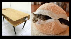 Mobilier pentru pisici de bricolaj Continuare: modele elegante și creative pentru pisica dvs