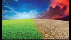 Peisajul în mutare 4 Viziuni de grandoare: o călătorie panoramică prin peisaje