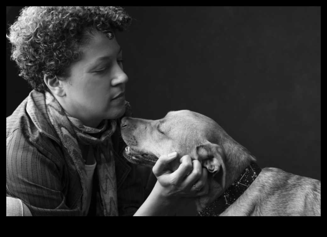 Portrete de pui care surprind esența câinelui tău în fotografii 4 Portrete de pui: surprindeți esența câinelui dvs. în fotografii