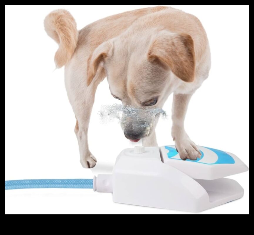 Puppy Pool Paw-ty: Jocuri cu apă pentru răcorire