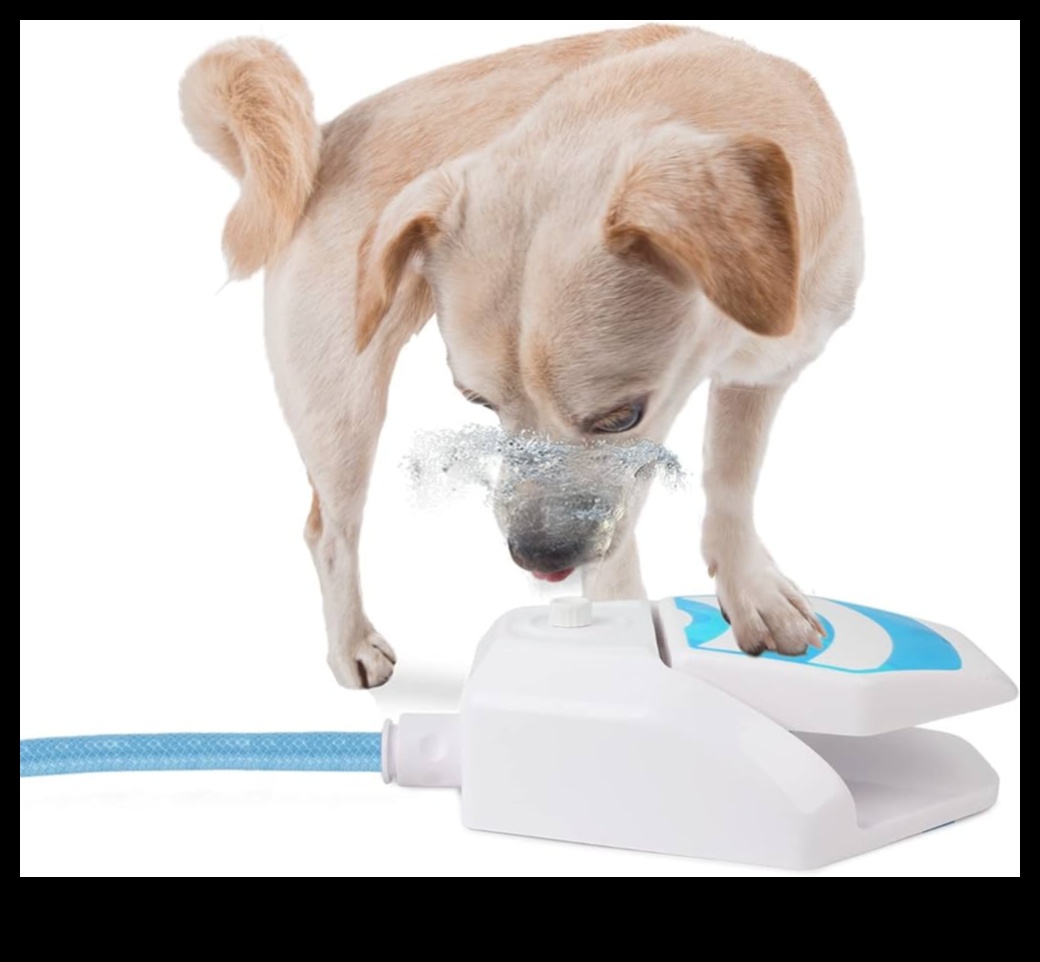 Puppy Pool Paw-ty Water Games for Cooling Off 1 Puppy Pool Paw-ty: Jocuri cu apă pentru răcorire