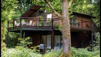 Retrageri pe malul râului: scene idilice de-a lungul malurilor râului