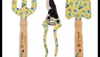 Green Thumb Magic: Uneltele de grădină indispensabile dezvăluite